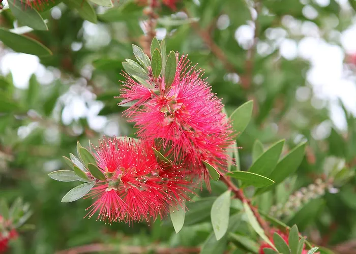 Rural Quinta Quintaes 4*